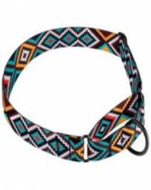 Ошейник Мартингейл BronzeDog Urban Гуцульский Нейлоновый c Металлической Фурнитурой Ментол, Размер S, Обхват шеи 30-40 см, Ширина 2,5 см. (Bronzedog) в Амуниция для собак.