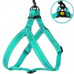 Шлея для Собак BronzeDog Active Нейлоновая со Светоотражением Бирюзовая, Размер L, Обхват груди 58-71 см, Ширина 2,5 см. (Bronzedog) в Амуниция для собак.