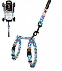 Шлея з повідцем для Котів і Дрібних Собак BronzeDog Urban Folk Біла, Розмір XS Обхват шиї 18-27 см. Обхват живота 23-37 см. (Bronzedog) в амуніція для собак.