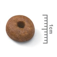 Royal Canin (Роял Канин) Giant Starter 1 кг (Royal Canin) в Сухой корм для собак.