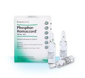 Хель Фосфор-Гомакорд 5мл 5ампул () в Настоянки, відвари, екстракти, гомеопатія  .