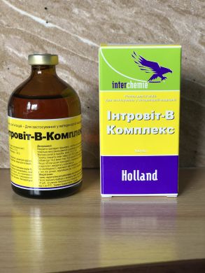 Інтровіт B комплекс 100 мл Інтровіт B комплекс 100 мл (Interchemie) в Вітаміни та харчові добавки.