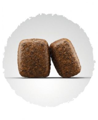 Йозера Нейчер Энергетик JOSERA Nature Energetic (JOSERA) в Сухой корм для собак.