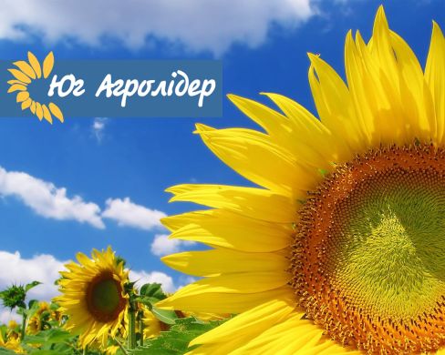 Меридіан (Юг Агролідер) в Соняшник.