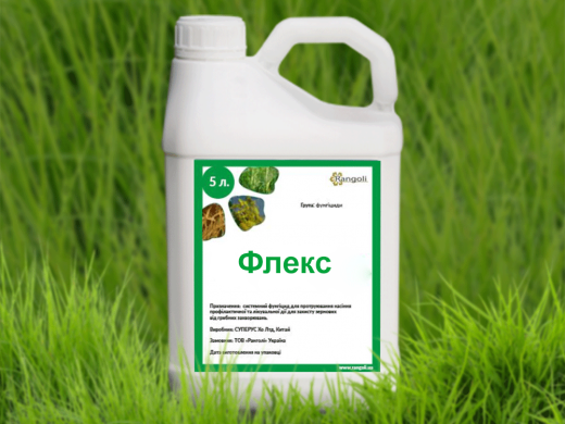 Флекс (аналог Максим XL 035 FS), 5л Флекс (аналог Максим XL 035 FS), 5л (RANGOLI) в Протравители.