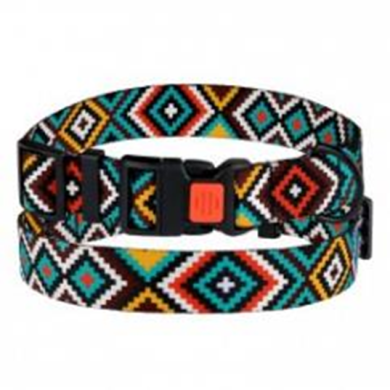 Ошейник BronzeDog Urban Гуцульский Нейлоновый c Пластиковой Пряжкой Ментол, Размер M, Обхват шеи 30-40 см, Ширина 2 см. (Bronzedog) в Амуниция для собак.