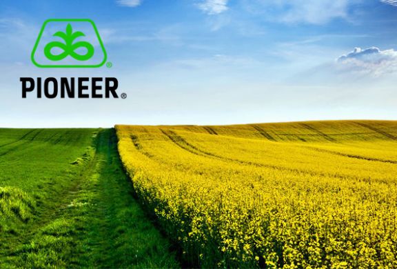 PR46W14 (Pioneer) в Ріпак.