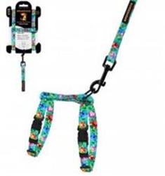 Шлея с Поводком для Котов и Мелких Собак BronzeDog Urban Folk Ментоловая, Размер 2XS Обхват шеи 15-23 см. Обхват живота 15-25 см. (Bronzedog) в Амуниция для собак.