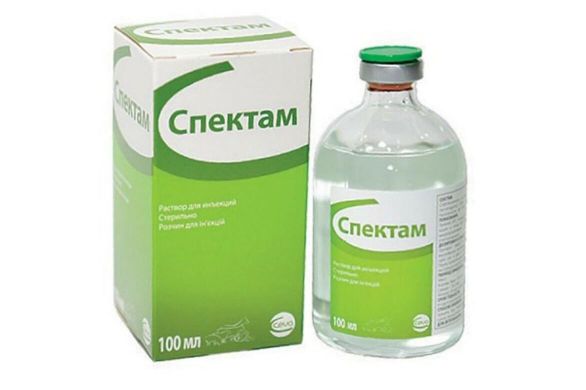 Спектам 100 мл раствор для инъекций CEVA Спектам 100 мл раствор для инъекций CEVA (CEVA) в Антимикробные препараты (Антибиотики).