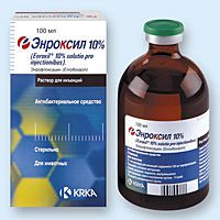 ЕНРОКСІЛ 10% РОЗЧИН ДЛЯ ІН'ЄКЦІЙ (KRKA) в Антимікробні препарати (Антибіотики).