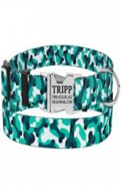 Ошейник BronzeDog Urban Camo Нейлоновый с Металлической Пряжкой Бирюзовый, Размер L, Обхват шеи 35-45 см, Ширина 2,5 см. Ошейник BronzeDog Urban Camo Нейлоновый с Металлической Пряжкой Бирюзовый, Размер L, Обхват шеи 35-45 см, Ширина 2,5 см. (Bronzedog) в Амуниция для собак.