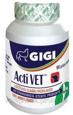 Вітаміни GIGI Гі ГІ Акті Вет  №90 () в Вітаміни та харчові добавки.
