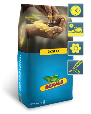 DK Seax (ДК Сеакс) (Monsanto) в Ріпак.