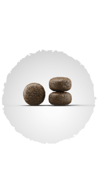 JOSERA LIGHT & VITAL Лайт енд Витал (JOSERA) в Сухой корм для собак.