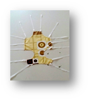 Післяопераційна попона, бязь №6 (xxl) () в Післяопераційні засоби.