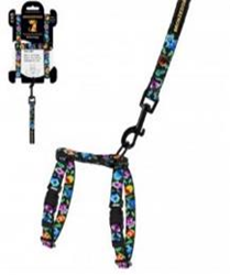 Шлея с Поводком для Котов и Мелких Собак BronzeDog Urban Folk Чёрная, Размер 2XS Обхват шеи 15-23 см. Обхват живота 15-25 см. (Bronzedog) в Амуниция для собак.