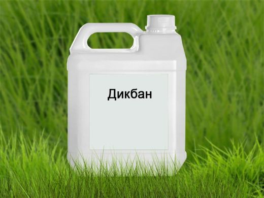 Дикбан (аналог Банвел) (RANGOLI) в Гербициды.