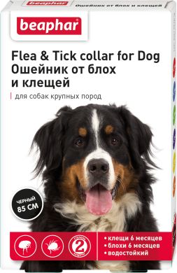 Ошейник Бифар от блох и клещей для собак крупных пород 85 см  (Beaphar(Нидерланды)) в Ошейники.