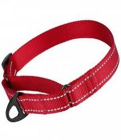 Ошейник  Мартингейл Bronzedog Active Нейлоновый со Светоотражением Красный, Размер L, Обхват шеи 41-61 см., Ширина 2,5 см. (Bronzedog) в Амуниция для собак.