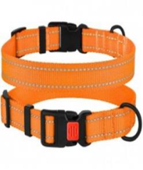 Ошейник BronzeDog Active Нейлоновый со Светоотражением и Пластиковой Пряжкой Оранжевый, Размер ХL, Обхват шеи 43-66 см, Ширина 2,5 см. (Bronzedog) в Амуниция для собак.