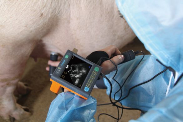 УЗД апарат для свинарства MSU3 УЗД апарат для свинарства MSU3 (KAIXIN) в УЗД апарати.