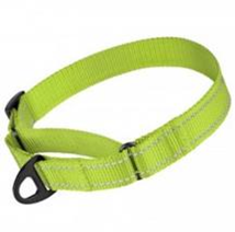 Ошейник Мартингейл Bronzedog Active Нейлоновый со Светоотражением Салатовый, Размер S, Обхват шеи 28-38 см., Ширина 2 см. (Bronzedog) в Амуниция для собак.