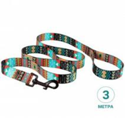 Поводок Bronzedog Urban Нейлоновый 3 метра Ацтеки, Размер L, Длина 300 см, Ширина 2,5 см. (Bronzedog) в Амуниция для собак.