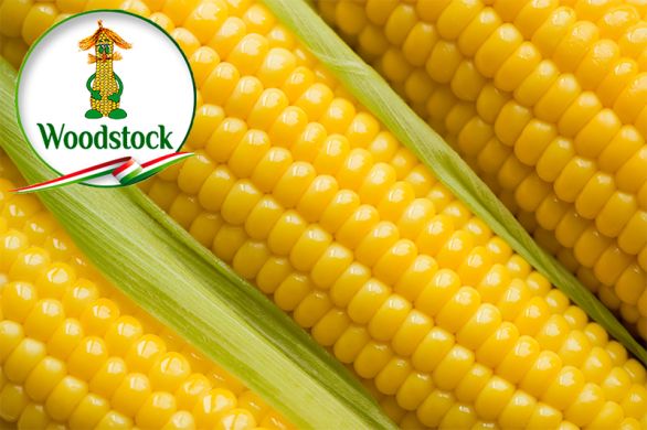 ГС 240 (Woodstock) в Кукурудза.