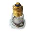 Лампа инфракрасная, 175W, закаленное тонкое стекло с напылением R125 () в Лампы, брудера.