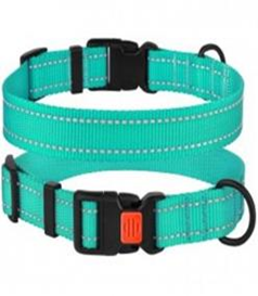 Нашийник BronzeDog Active Нейлоновий зі світловідбиванням і Пластиковою Пряжкою Бірюзовий, Розмір M Обхват шиї 30-40 см. Ширина 2 см. (Bronzedog) в амуніція для собак.