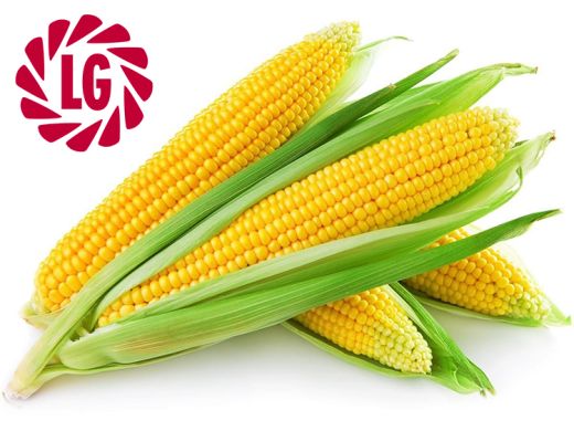 Адевей (ADEVEY) Адевей (ADEVEY) (Limagrain) в Кукурудза.