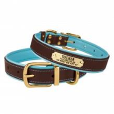 Нашийник Шкіряний BronzeDog Premium з Литою латунною фурнітурою та Адресником Коричнево-Блакитний, Розмір M Обхват шиї 35-41 см. Ширина 2 см. (Bronzedog) в амуніція для собак.