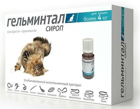 Гельмінтал сироп для кішок більше 4 кг 5 мл (Екопром) в Антигельмінтики.