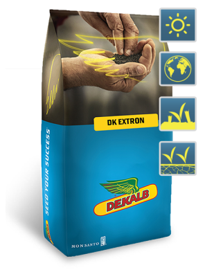 DK Extron (ДК Екстрон) (Monsanto) в Ріпак.