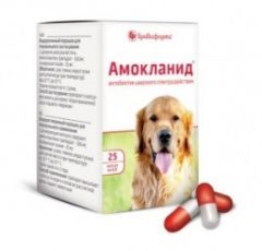 Амокланід капс. 25 шт по 0,5 г () в Антимікробні препарати (Антибіотики).
