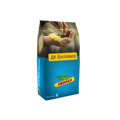 DK Expower (ДК Експовер) (Monsanto) в Ріпак.