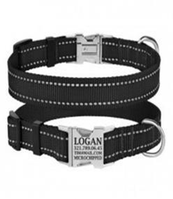 Ошейник BronzeDog Active Нейлоновый со Светоотражением и Металлической Пряжкой Черный, Размер M Обхват шеи 30-40 см. Ширина 2 см. (Bronzedog) в Амуниция для собак.