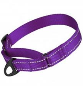 Ошейник Мартингейл Bronzedog Active Нейлоновый со Светоотражением Фиолетовый, Размер М, Обхват шеи 33-46 см.,Ширина 2,5 см. Ошейник Мартингейл Bronzedog Active Нейлоновый со Светоотражением Фиолетовый, Размер М, Обхват шеи 33-46 см.,Ширина 2,5 см. (Bronzedog) в Амуниция для собак.