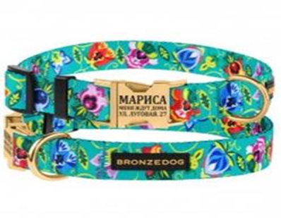 Ошейник Bronzedog Urban Folk Нейлоновый c Металлической пряжкой Золотистого Цвета Ментоловый, Размер L, Обхват шеи 35-45 см, Ширина 2,5 см. (Bronzedog) в Амуниция для собак.