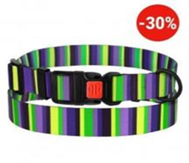 Ошейник BronzeDog Urban Полоска Нейлоновый с Пластиковой Пряжкой Фиолетово-Салатовый, Размер M, Обхват шеи 30-40 см, Ширина 2 см. (Bronzedog) в Амуниция для собак.