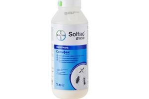 Сольфак EW50 - засіб для знищення тарганів, мурашок, клопів, бліх, мух, комарів