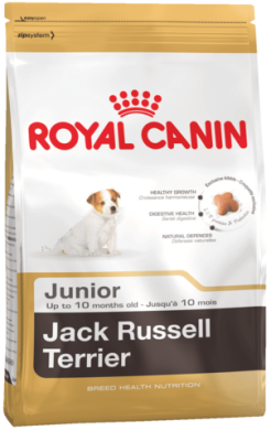 JACK RUSSELL TERRIER Junior Royal Canin сухой корм для щенков породы джек-рассел-терьер до 10 месяцев, 0,5 кг (Royal Canin) в Сухой корм для собак.