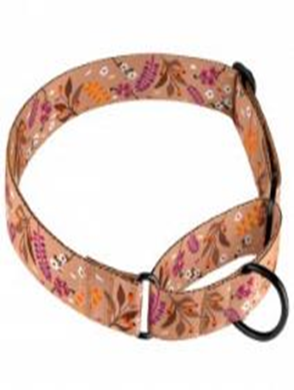Ошейник Мартингейл BronzeDog Urban Цветы Нейлоновый c Металлической Фурнитурой Бежевый, Размер S, Обхват шеи 30-40 см, Ширина 2,5 см. Ошейник Мартингейл BronzeDog Urban Цветы Нейлоновый c Металлической Фурнитурой Бежевый, Размер S, Обхват шеи 30-40 см, Ширина 2,5 см. (Bronzedog) в Амуниция для собак.
