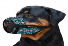 Намордник для собак Bronzedog Нейлоновий регульований Ромби, розмір S Обхват морди 16-19 см (Йорк) (Bronzedog) в амуніція для собак.