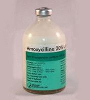 Амоксицилин 20% ПД 100 мл Альфасан (Альфасан) в Антимикробные препараты (Антибиотики).