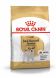 JACK RUSSELL Adult Royal Canin сухой корм для собак от 10 месяцев (Royal Canin) в Сухой корм для собак.