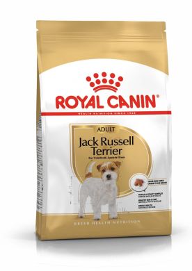 JACK RUSSELL Adult Royal Canin сухой корм для собак от 10 месяцев (Royal Canin) в Сухой корм для собак.