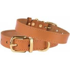 Нашийник Шкіряний BronzeDog Classic з Литою латунною фурнітурою Гірчичний, Розмір 2XS, Обхват шиї 18-23 см. Ширина 1,2 см. (Bronzedog) в амуніція для собак.