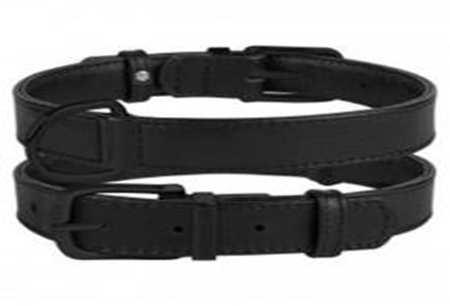 Ошейник Кожаный BronzeDog Premium без украшений Черный, Размер L Обхват шеи 38-49 см. Ширина 2,5 см. Ошейник Кожаный BronzeDog Premium без украшений Черный, Размер L Обхват шеи 38-49 см. Ширина 2,5 см. (Bronzedog) в Амуниция для собак.
