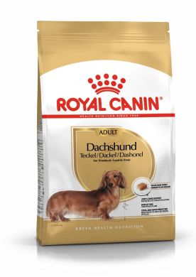 Dachshund adult Royal Canin (Роял Канин) Такса старше 10 місяців 0.5 кг Dachshund adult Royal Canin (Роял Канин) Такса старше 10 місяців 0.5 кг (Royal Canin) в Сухий корм для собак.